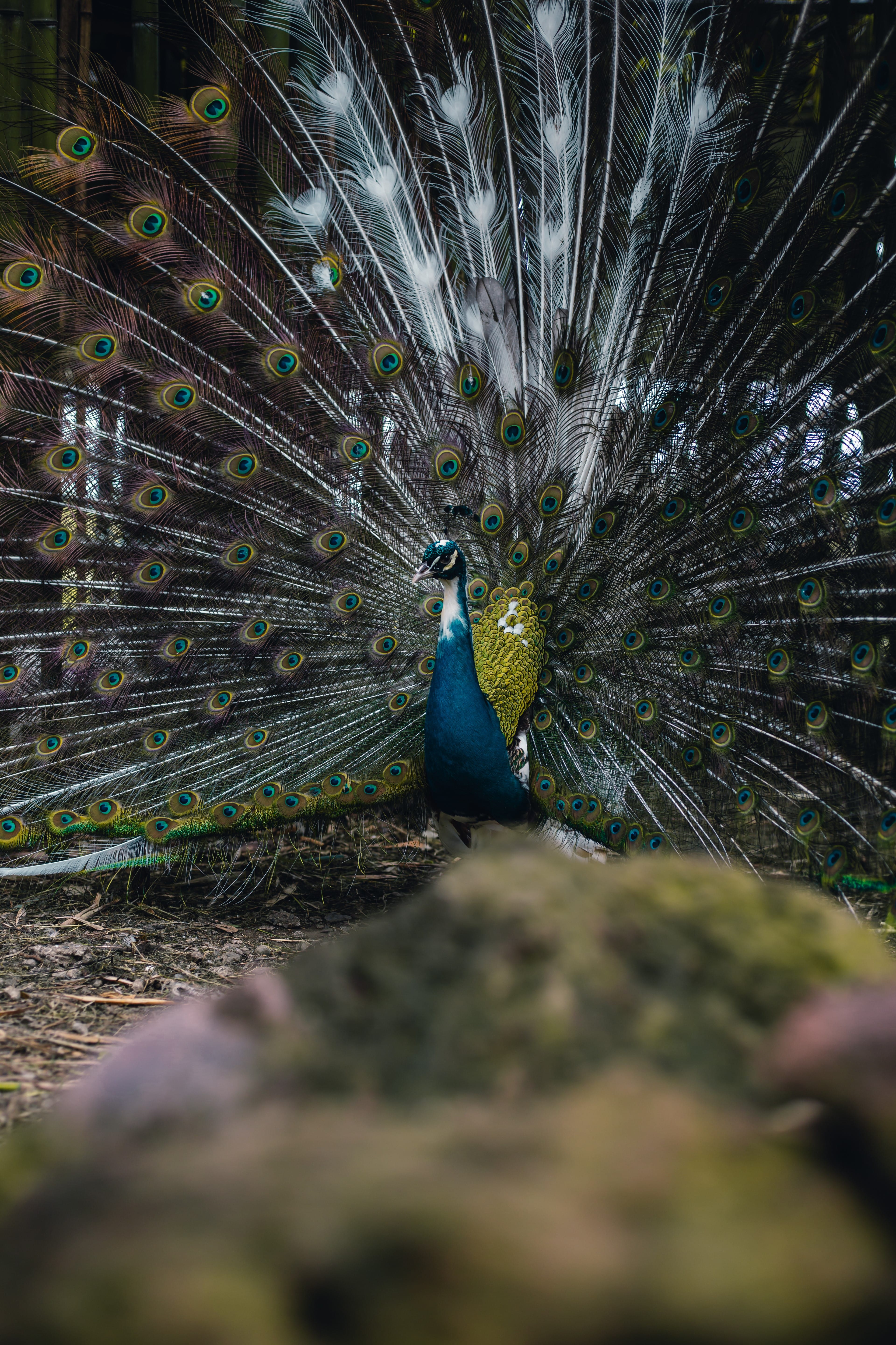 Photography and creative work