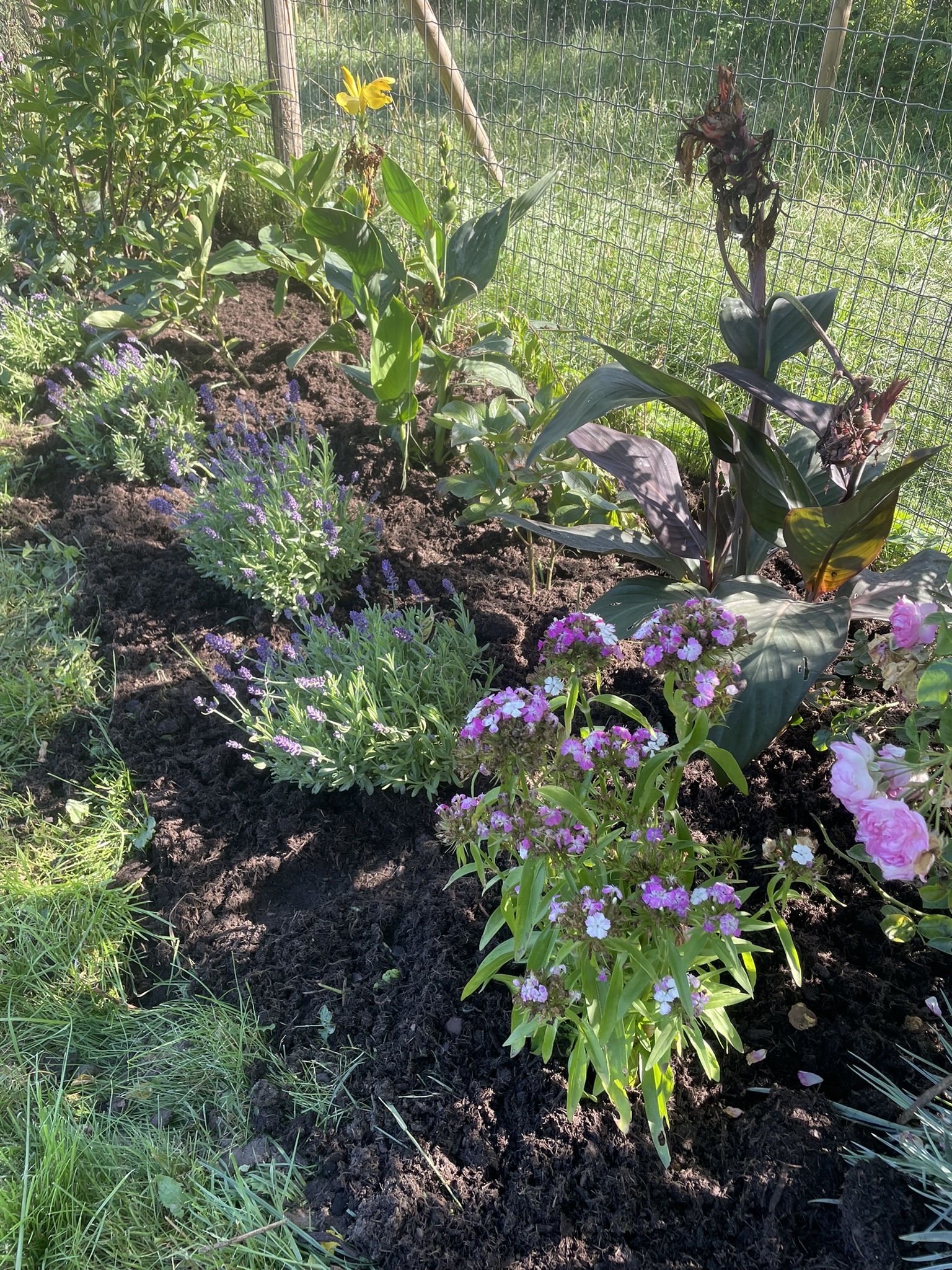Wildlife-friendly garden design